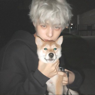 Telegram profile photo for 逃花招商频道