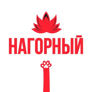 Telegram profile photo for Касается Нагорного