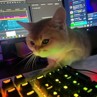 Telegram profile photo for dxkek