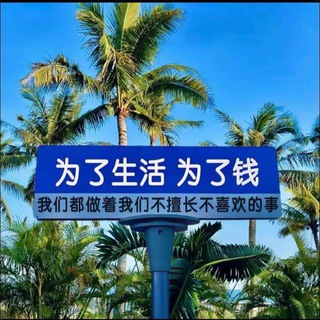 Telegram profile photo for TK强私-三弟机房