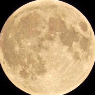 Telegram profile photo for Тебе виднее