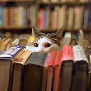 Telegram profile photo for Книги по истории и не только