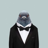 Telegram profile photo for MEXC STOCKS SPLASH