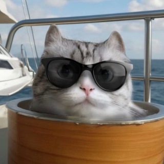 Telegram profile photo for Неушка