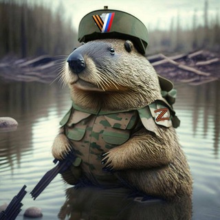 Telegram profile photo for Херсонский бобер.