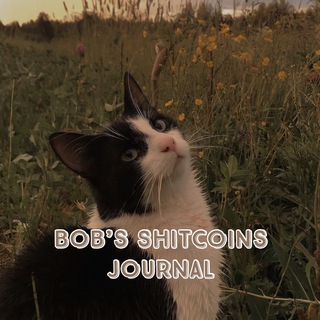 Telegram profile photo for Bob’s Shitcoins Journal