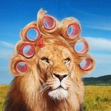 Telegram profile photo for xcv