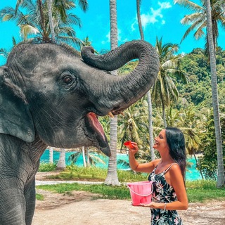 Telegram profile photo for Турагент | Ирина Крутикова 🛫⛱️