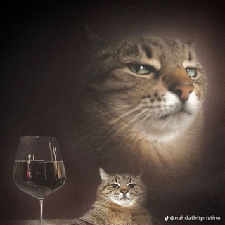 Telegram profile photo for План захвата