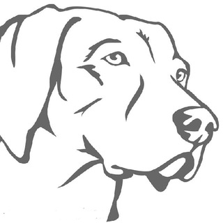 Telegram profile photo for Hundeschule Bayerischer Wald