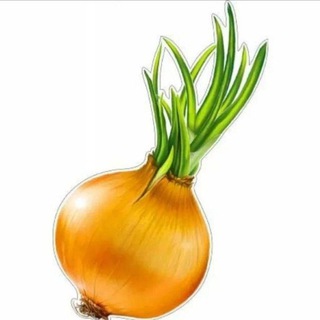 Telegram profile photo for ЛУК ОПТОМ