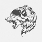 Telegram profile photo for •⌈Cнαппεʟ💎Qαναпıп⌋•
