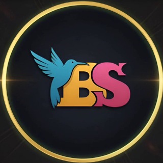 Telegram profile photo for БАЙЕР-СЕРВИС “BS” | Закупки в Турции, Китае и Кыргызстане