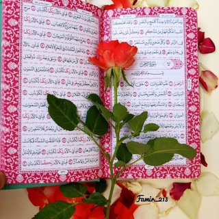 Telegram profile photo for ✿✻🌷رفـقـةالــقــران🌷✻✿