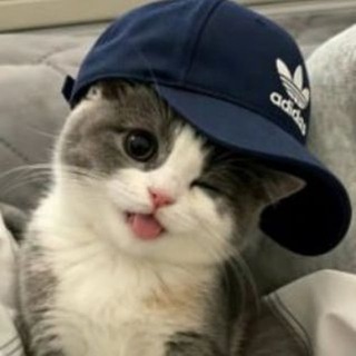 Telegram profile photo for 麻将胡了彩金客服最高88彩金