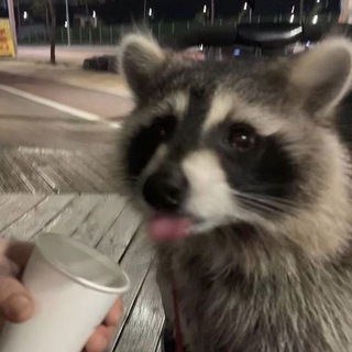 Telegram profile photo for мапловская водка