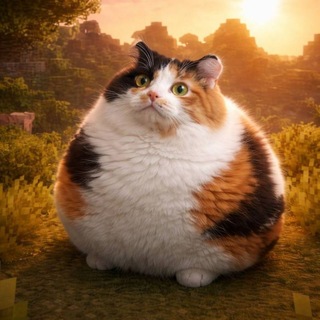 Telegram profile photo for Хуачен уссался йодом