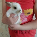 Telegram profile photo for Жизнь бафи🥰😘