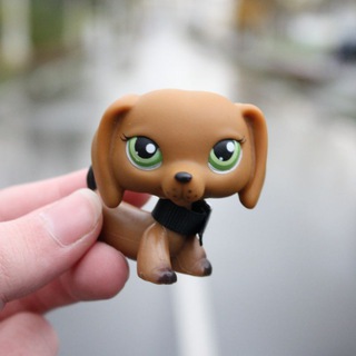 Telegram profile photo for — кусачий канал 🦷 // BITE LPS!¡ ✧˚•