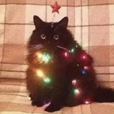 Telegram profile photo for Сасиски сосискт