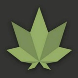 Telegram profile photo for casino910