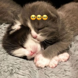 Telegram profile photo for люблю