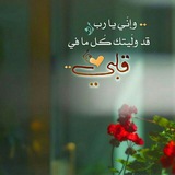 Telegram profile photo for لله قلبــي💜🌸