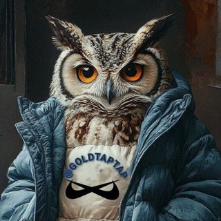 Telegram profile photo for Airdrop_chat
