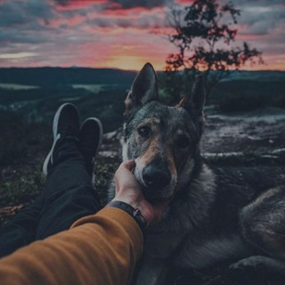 Telegram profile photo for Каналы телеграм | Биржа | 24/7