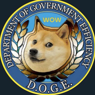 Telegram group profile photo for Department Of Government Efficiency C.T.O.