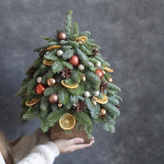 Telegram profile photo for Ёлочки из Нобилиса🎄