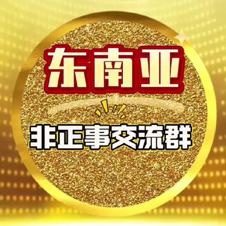 Telegram profile photo for 东南亚非正式会谈出海交流群