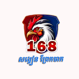 Telegram profile photo for សង្វៀនមាន់ជល់ខ្មែរ V168