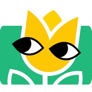 Telegram profile photo for Цветы из Китая оптом YOUFLORA