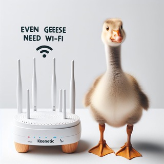 Telegram profile photo for Keenetic | Охотник за товарами