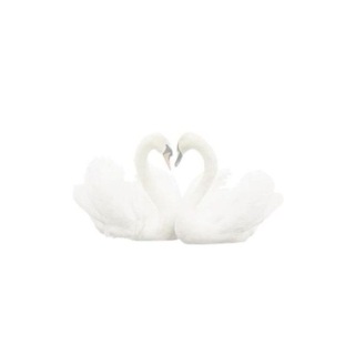 Telegram profile photo for 𝓛ovelace petals