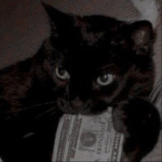 Telegram profile photo for В Нововоронеже любят