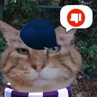 Telegram profile photo for мемы из тиктока 🤡