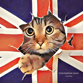 Telegram profile photo for A2-B2 tests