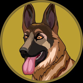 Telegram profile photo for BergerDoge Coin Channel