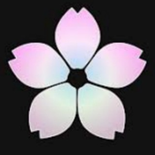 Telegram profile photo for 樱花网络