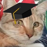 Telegram profile photo for معن عبدلله / ميكا رابعة