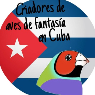 Telegram profile photo for Aves de Fantasía 🇨🇺 CANAL