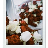Telegram profile photo for 《 — 花开如诗 ♡. 》