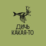 Telegram profile photo for ДИЧЬ КАКАЯ-ТО | Ресторан, банкеты Щелково