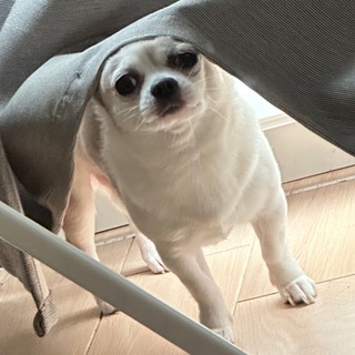 Telegram profile photo for mary|спам