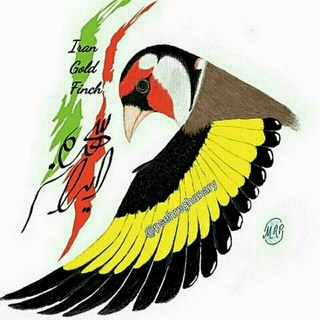 Telegram profile photo for کانال سهره و قنارے ایران