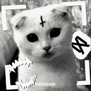 Telegram profile photo for medium.1864
