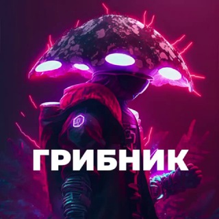 Telegram profile photo for Грибник🇺🇦