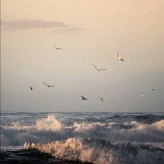 Telegram profile photo for نهاية حٌب